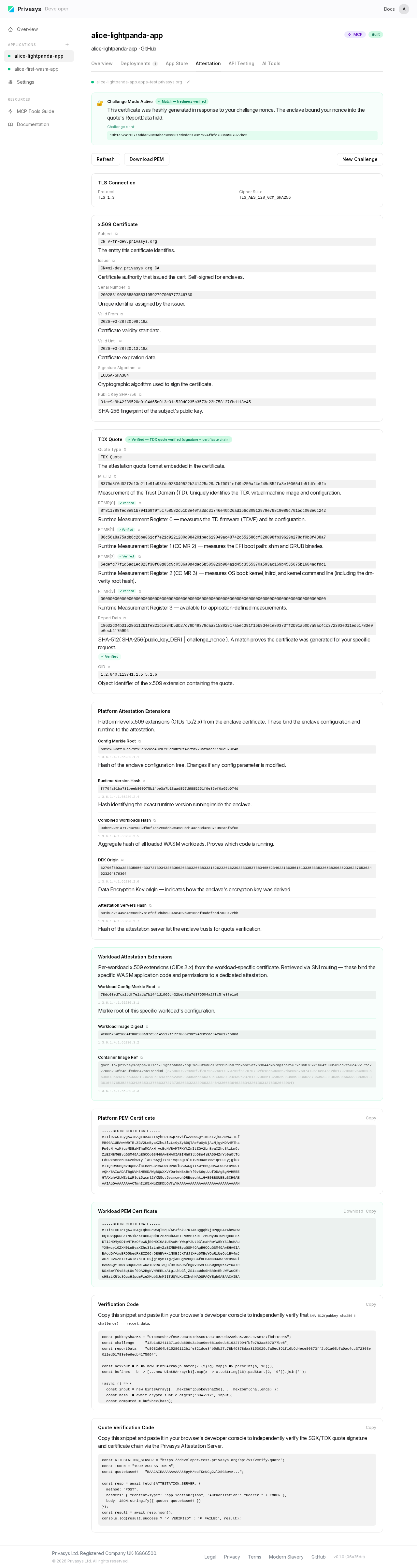 Attestation challenge and workload