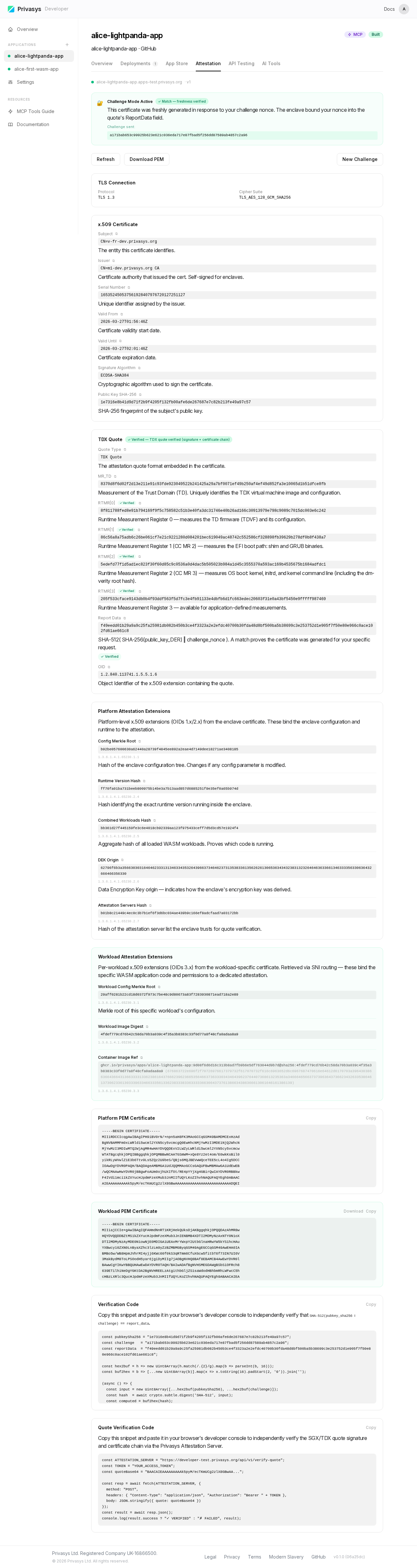 Attestation challenge and workload